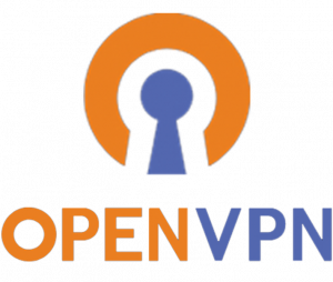 OpenVPN レビュ 2021: 買うだけの価値がありますか？
